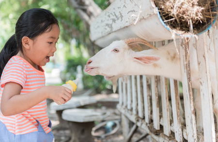 cute farmer girl feeding baby goat with bottle of milk. livestock concept.の写真素材