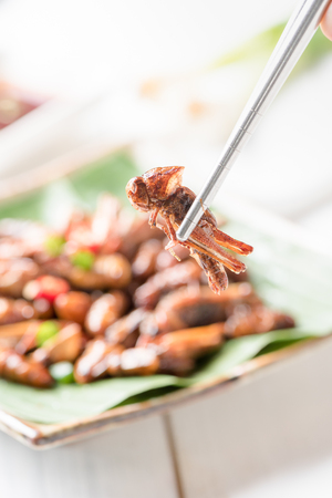 fried grasshopper on chopsticks, edible insect eating and local food in Thailand.の写真素材