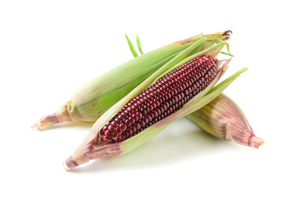 Siam Ruby Queen Corn isolated on white background, Can be eaten fresh. The taste is sweet and crisp.の写真素材