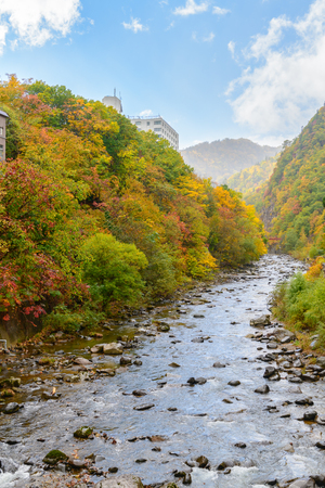 colourful forest on autumn season in  Jozankei, The famous plase in Hokkaido, Japanの写真素材