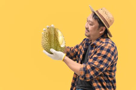 Middle-aged farmers are looking at the durian isolated on yellowの写真素材