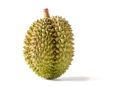 Ripe Monthong Durian fruit isolated on white background, King of fruits in Thailandの写真素材