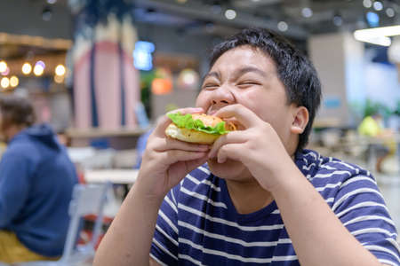 Obese boy eats a hamburger in a food court in a shopping center. junk food and unhealthy food...
