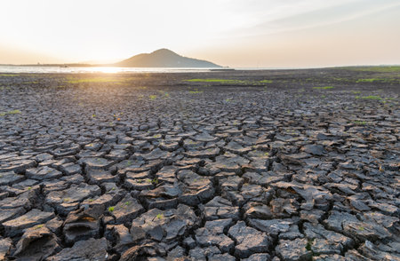 Cracked ground,Cray Soil,Mud Crack.Cracks on the surface of the earth are altered by the shrinkage of mud due to drought conditions of the terrain.の写真素材