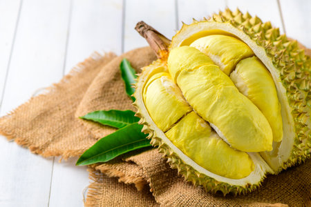 Durian fruit. Ripe monthong durian on sack and white wood background, king of fruit from Thailand on summer seasonの写真素材