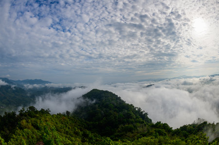 beautiful sea of mist and forest, view from Aiyoeweng View Point, Yala Province, Thailandの写真素材