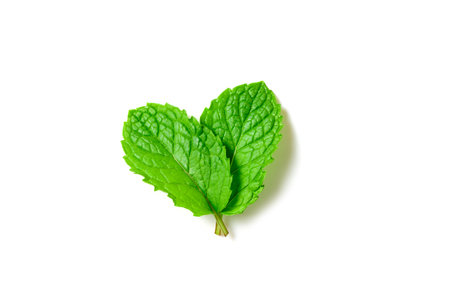 Mint leaf. Fresh mint on white background. Mint leaves isolated. herb and medicine concept