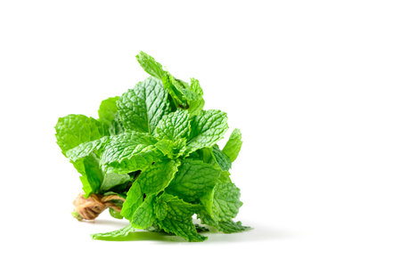 Fresh peppermint isolated on white background. Peppermint is a hybrid mint, It is widely used in food, beverages, cosmetics, and medicinal products due to its natural menthol content.の写真素材