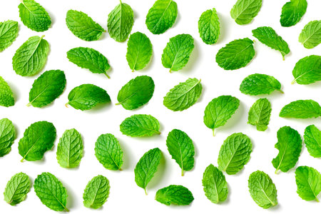 Fresh peppermint isolated on white background. top view of Peppermint leaf, It is widely used in food, beverages, cosmetics, and medicinal products due to its natural menthol content.の写真素材
