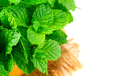 Fresh peppermint in wood bowl isolated on white background. It is widely used in food, beverages, cosmetics, and medicinal products due to its natural menthol content.の写真素材