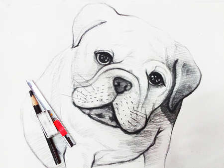Art  Drawing Sketch out line Face Cute dog  from Thailandの写真素材