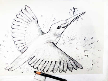 Art  Drawing Sketch out line  Cute  bird  from Thailandの写真素材