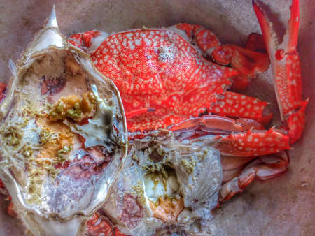 Very delicious fresh seafood from Thailand.の写真素材