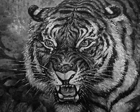 Art painting Acrylic White and black cute tigerの写真素材