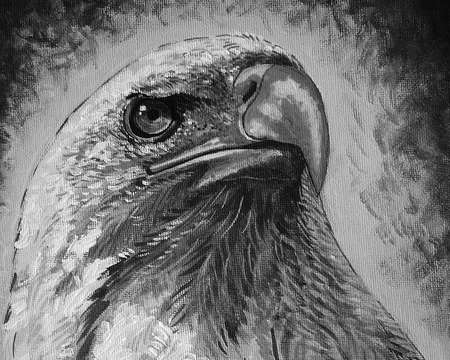 Art painting Acrylic Black and White  The eagleの写真素材