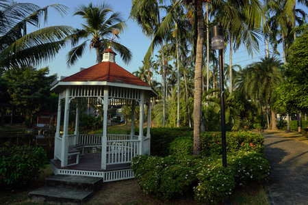 Garden jogging around the houseの写真素材