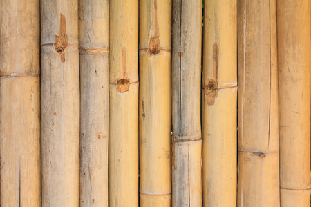 bamboo texture fence for backgroundの写真素材