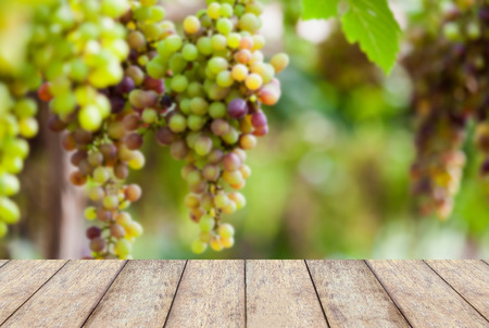 wood floor with bunches of wine grapes hanging on the vine with green leavesの写真素材