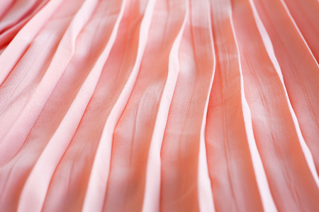pleated skirt fabric textureの写真素材