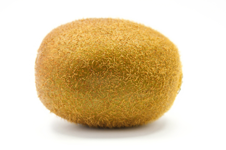 Kiwi fruit isolated on white backgroundの写真素材