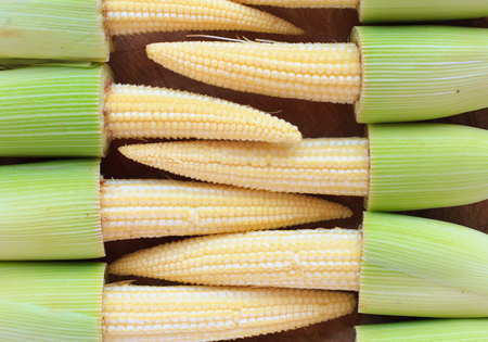 baby corn on wood backgroundの写真素材