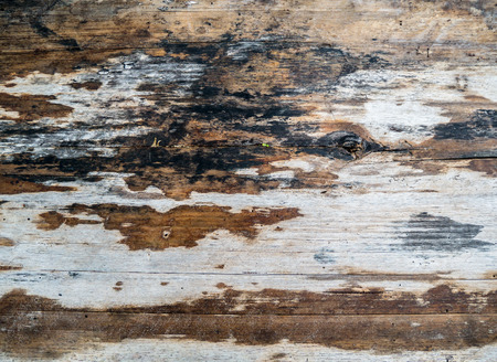 wood texture backgroundの写真素材