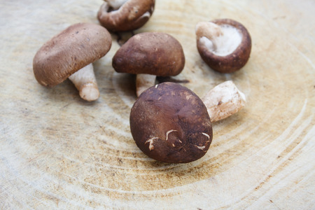 shiitake mushrooms on a wooden cutting boardの写真素材