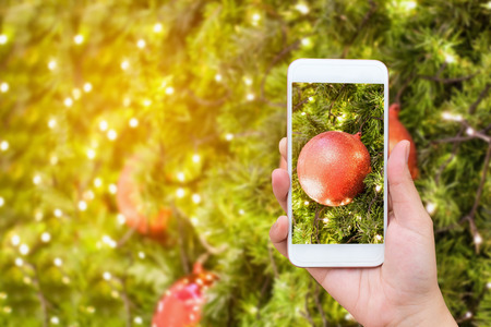 Woman hand hold mobile smartphone taking picture of christmas decorations on the branches of fir tree over christmas tree blur backgroundの写真素材