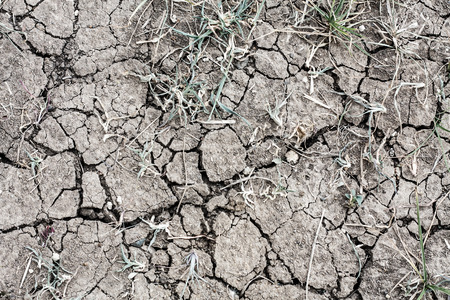 dry soil texture with dry grass