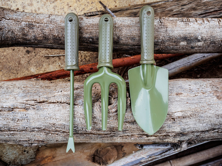Gardening tools on wood backgroundの写真素材