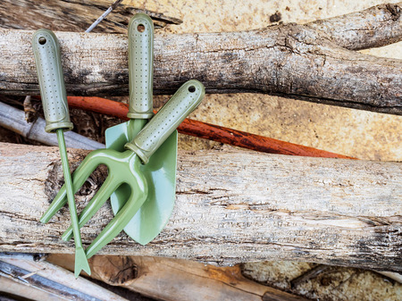 Gardening tools on wood background