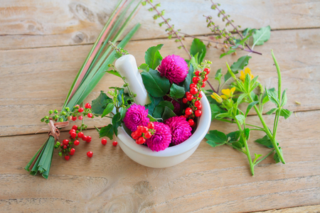 Fresh herbs in the mortar, alternative medicineの写真素材
