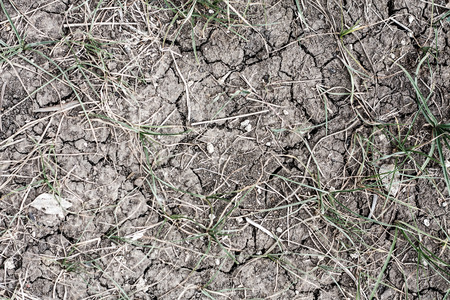 dry soil texture with dry grassの写真素材