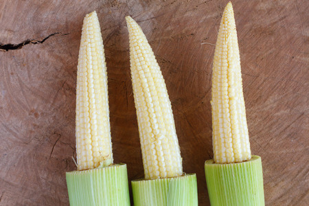 baby corn on wood backgroundの写真素材