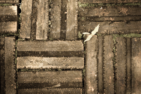 Flooring from old bricks with mossの写真素材