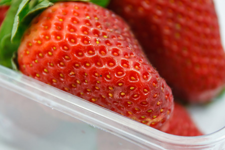 Strawberries in plastic boxの写真素材