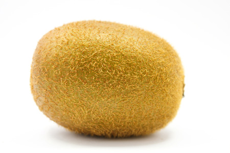 Kiwi fruit isolated on white backgroundの写真素材