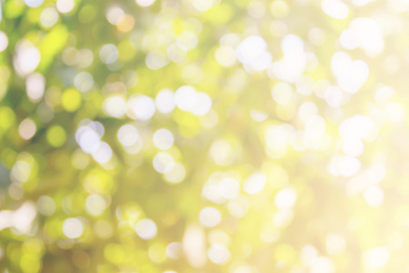 abstract green background with bokehの写真素材