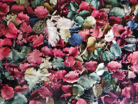 dry flowers abstract backgroundの写真素材