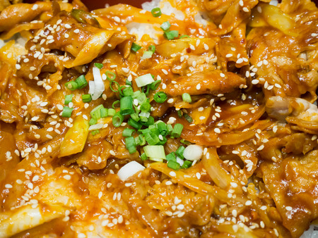 pork teriyaki top of rice bowlの写真素材