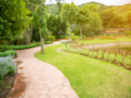 Walkway in the flowers garden blur background
