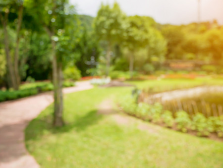 Walkway in the flowers garden blur backgroundの写真素材