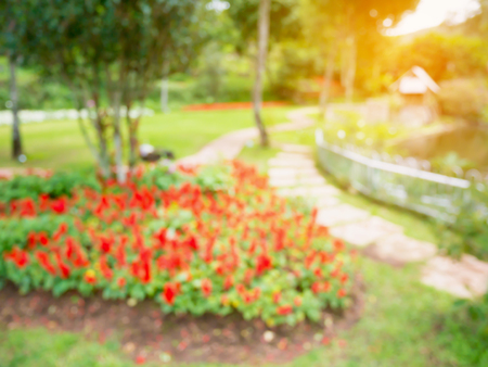 Walkway in the flowers garden blur backgroundの写真素材