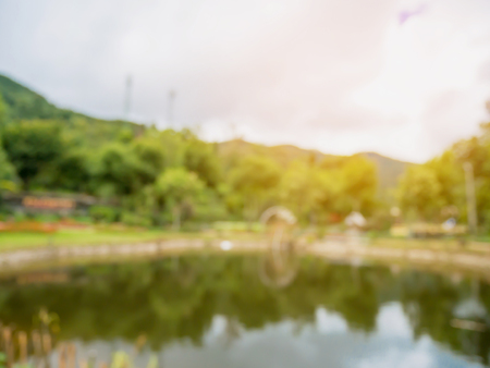 Blurred garden park natural backgroundの写真素材