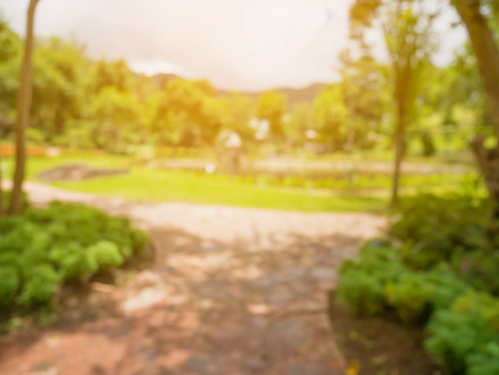 Walkway in the flowers garden blur backgroundの写真素材