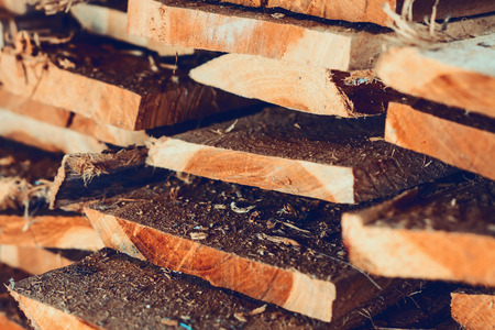 Large stack of wood planks, teak woodの写真素材