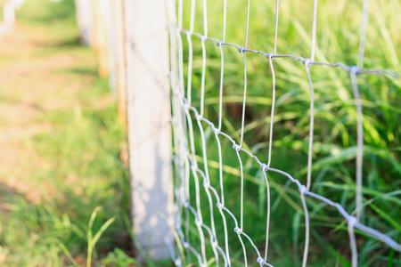 Metal fence wire and green grassの写真素材