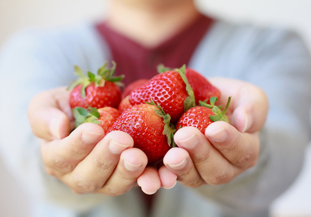 holding fresh strawberry in handsの写真素材