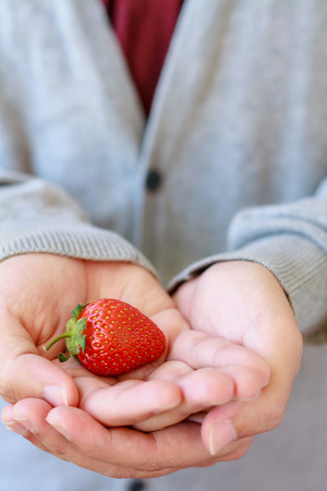 holding fresh strawberry in handsの写真素材