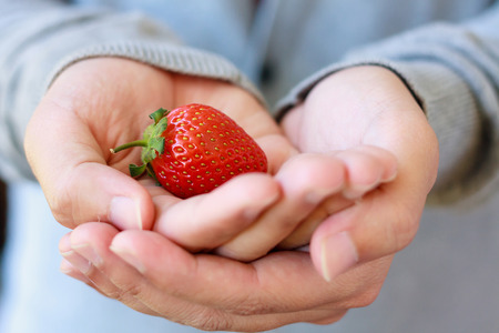 holding fresh strawberry in handsの写真素材